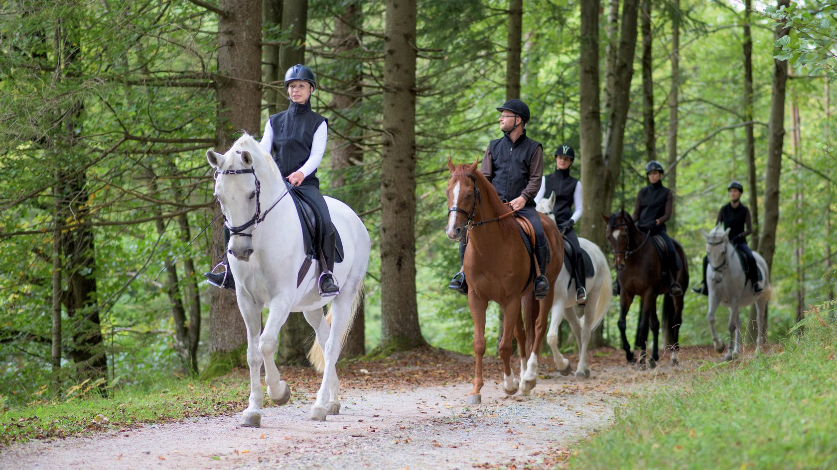 People riding horses